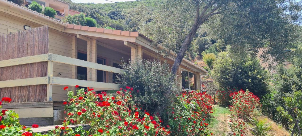 Les Terrasses De Scaglioli Villa Villanova Bagian luar foto