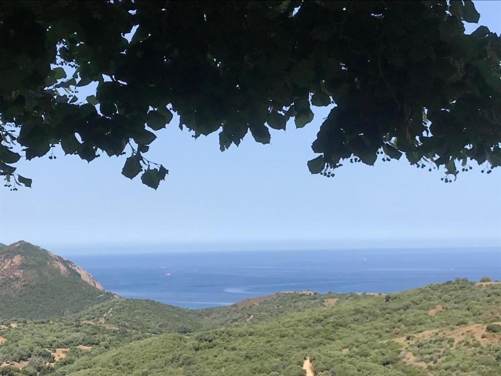 Les Terrasses De Scaglioli Villa Villanova Bagian luar foto