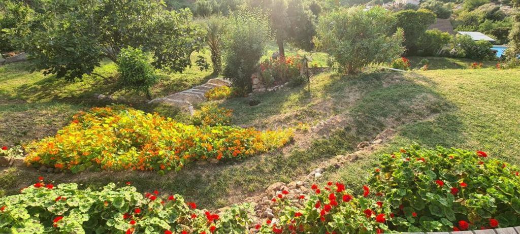 Les Terrasses De Scaglioli Villa Villanova Bagian luar foto