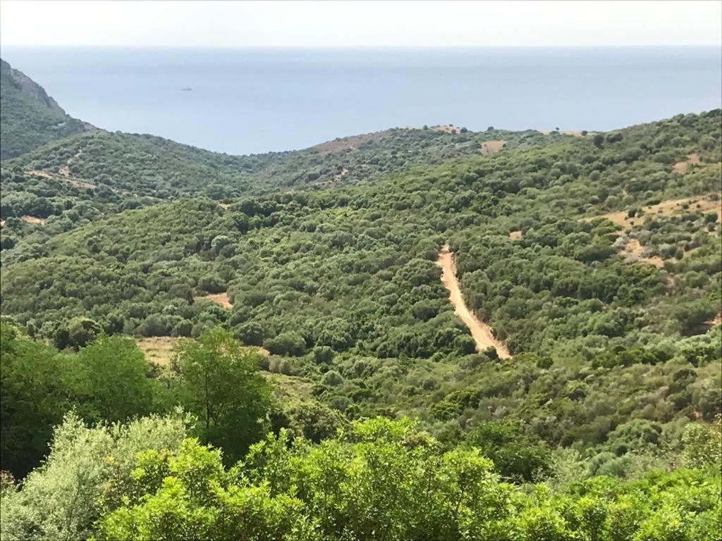 Les Terrasses De Scaglioli Villa Villanova Bagian luar foto