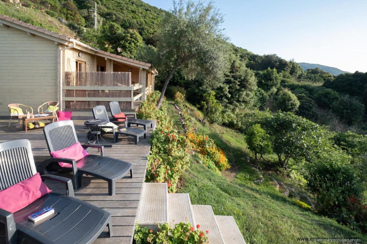 Les Terrasses De Scaglioli Villa Villanova Bagian luar foto