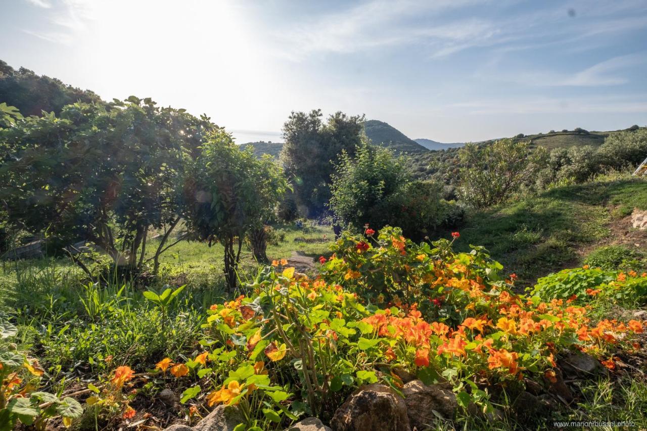 Les Terrasses De Scaglioli Villa Villanova Bagian luar foto